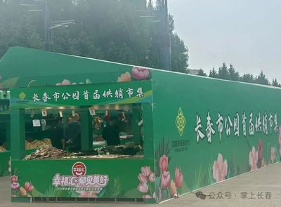 绿园区新增两处创意互动市集，解锁城市生活新乐趣